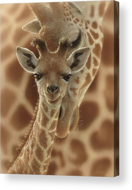 Giraffe Art Acrylic Print featuring the painting Giraffe Baby - New Born by Collin Bogle
