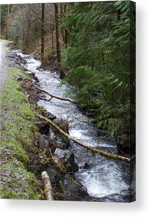 Digital Photography Acrylic Print featuring the photograph Going Upstream by Laurie Kidd