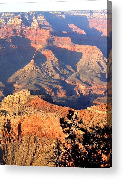 #grandcanyon50 Acrylic Print featuring the photograph Grand Canyon 50 by Will Borden