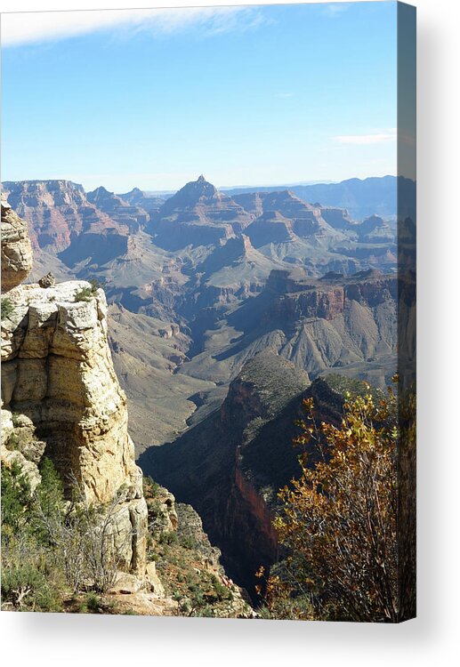 Nature Acrylic Print featuring the photograph Grand Canyon East by Laurel Powell