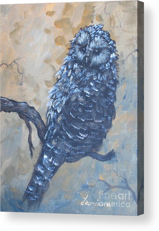 Owl Acrylic Print featuring the painting Grey Owl1 by Laurianna Taylor