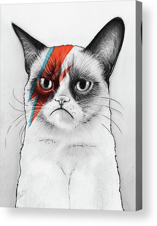 Grumpy Cat Acrylic Print featuring the drawing Grumpy Cat as David Bowie by Olga Shvartsur