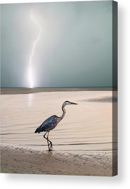 Lightning Acrylic Print featuring the photograph Gulf Port Storm by Scott Cordell