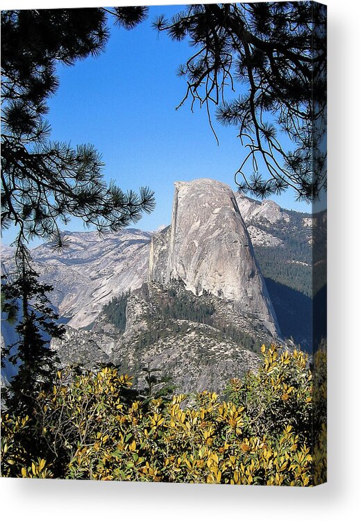 California Acrylic Print featuring the photograph Half Dome Framed by Ginger Stein