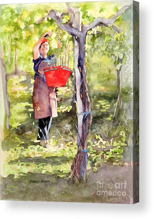 Harvest Acrylic Print featuring the painting Harvesting Anna's Grapes by Bonnie Rinier