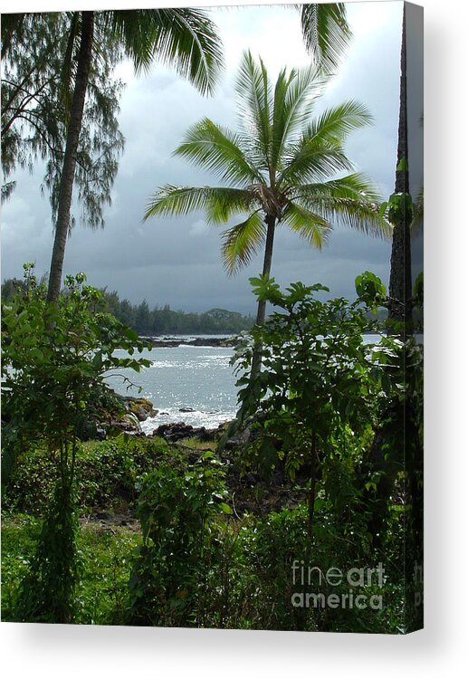 Hawaii Acrylic Print featuring the photograph Hawaii by Garnett Jaeger