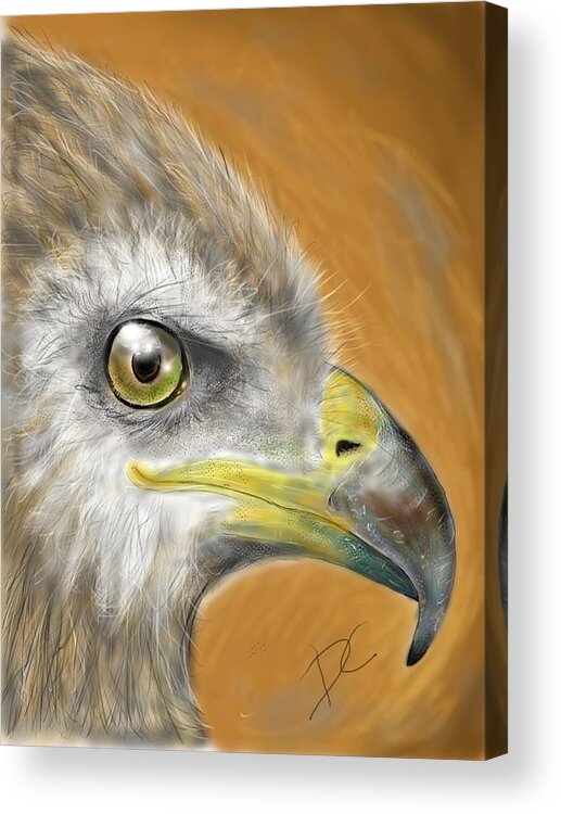 Hawk Acrylic Print featuring the digital art Hawk by Darren Cannell