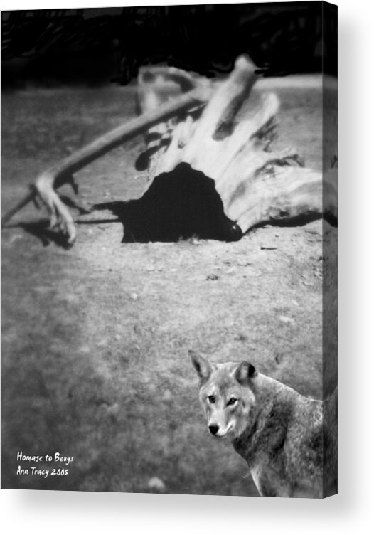 Yosemite Acrylic Print featuring the photograph Homage to Josef Beuys by Ann Tracy