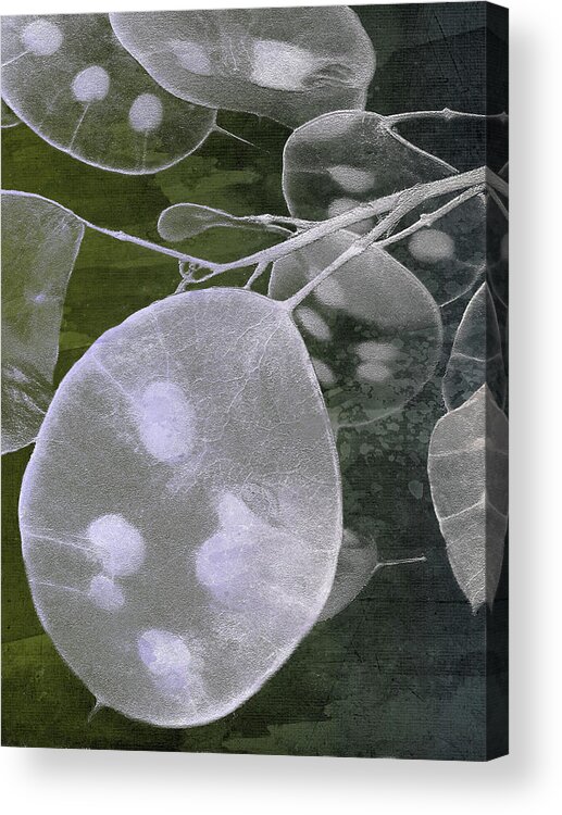 Money Acrylic Print featuring the photograph Honesty V by Char Szabo-Perricelli