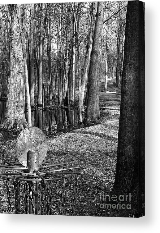 Disc Golf Acrylic Print featuring the photograph Hudson Mills Disc Golf by Phil Perkins