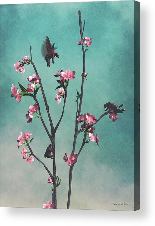 Bear Acrylic Print featuring the digital art Hummingbears by Cynthia Decker