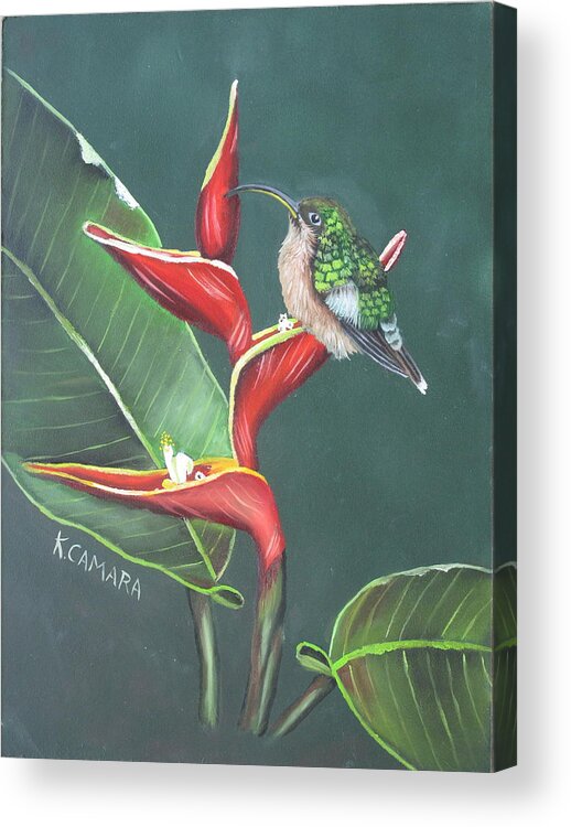 Landscape Acrylic Print featuring the painting Hummingbird by Kathie Camara