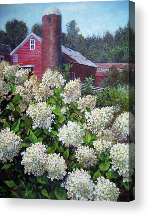 Garden Flowers Acrylic Print featuring the painting Hydrangea and Red Barn by Marie Witte