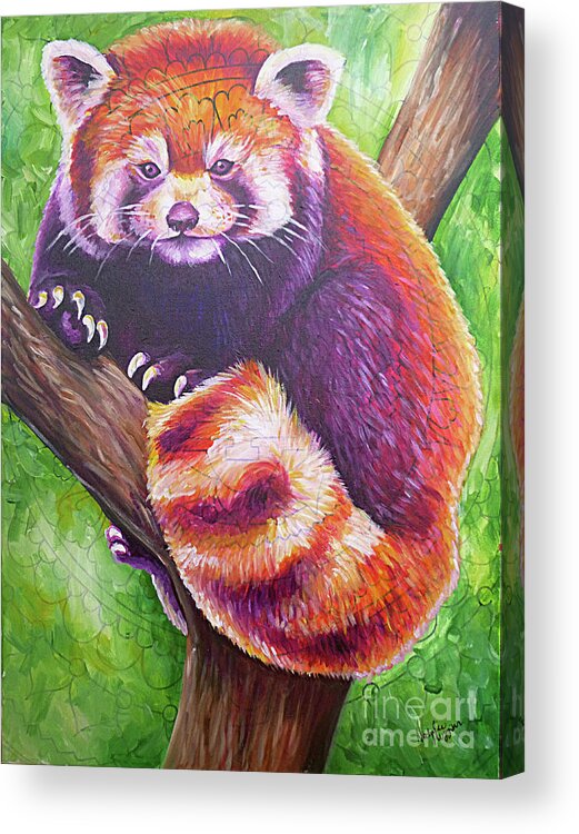 Idgie Red Panda Acrylic Print By Natalie Huggins