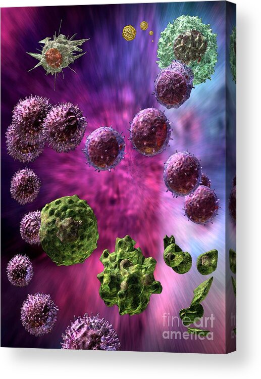 Antigens Acrylic Print featuring the digital art Immune Response Cytotoxic 4 by Russell Kightley