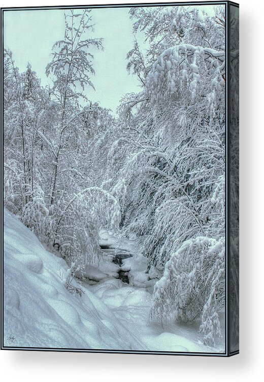 White Acrylic Print featuring the photograph Into White by Wayne King