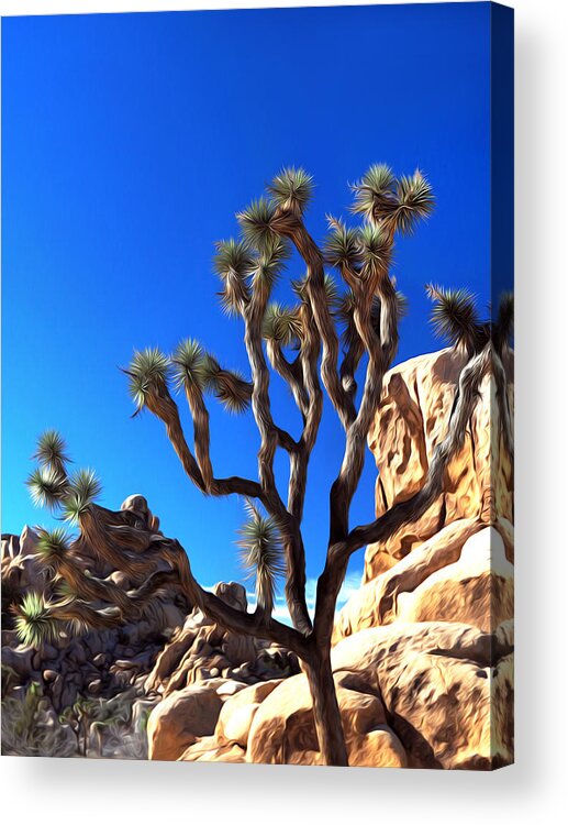 Joshua Tree National Park Acrylic Print featuring the photograph Joshua Tree Dreams by Joe Schofield