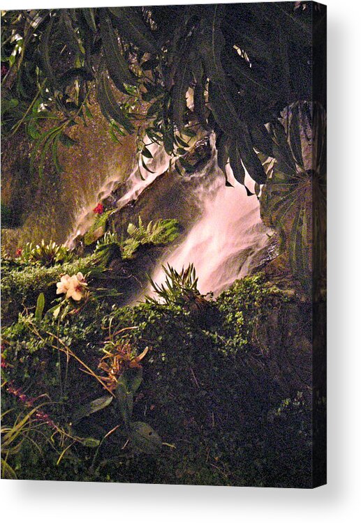 Opryland Acrylic Print featuring the photograph Jungle by Cat Rondeau