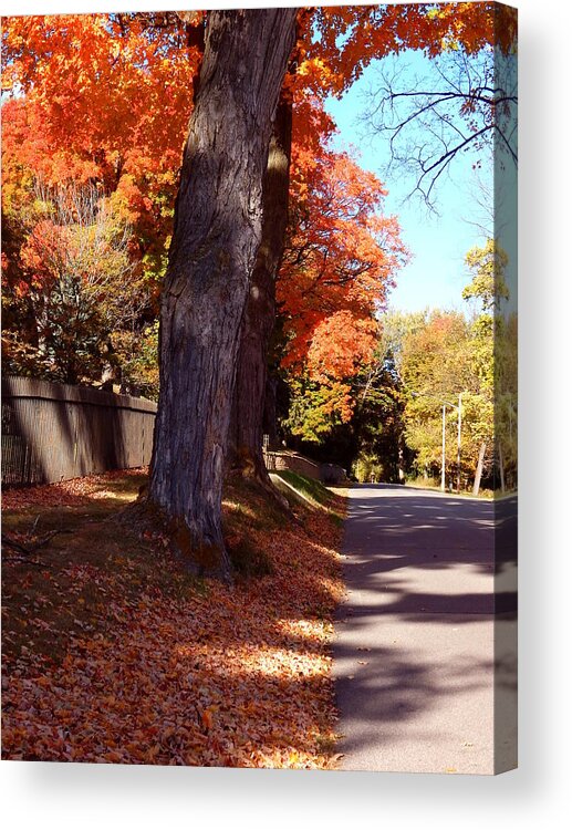 Autumn Acrylic Print featuring the photograph Just Strolling Your Hand in Mine by Wild Thing