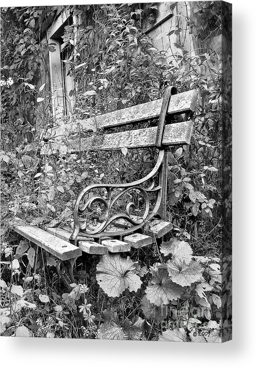 Black And White Acrylic Print featuring the photograph Just yesterday by Tom Cameron