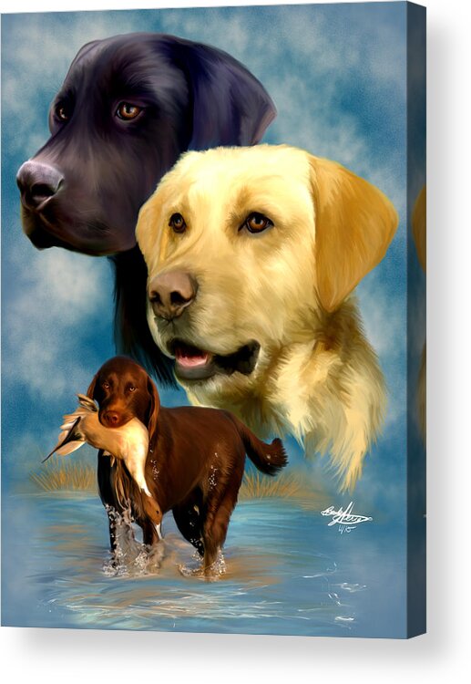 Labrador Retriever Acrylic Print featuring the painting Labrador Retrievers by Becky Herrera