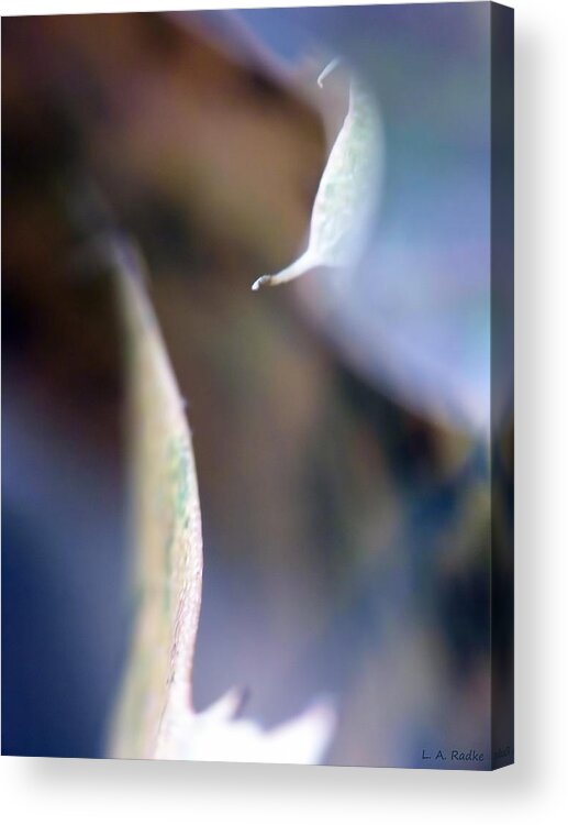 Abstract Acrylic Print featuring the photograph Leaf Abstract III by Lauren Radke