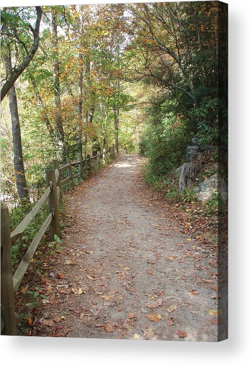 Path Acrylic Print featuring the photograph Leisurely Walks Calm The Soul by Allen Nice-Webb