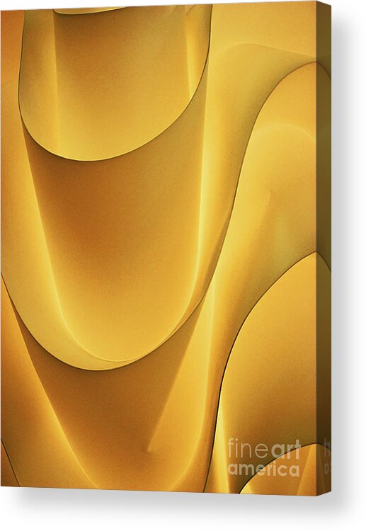Light Acrylic Print featuring the photograph Light and Form I by Elizabeth Hoskinson