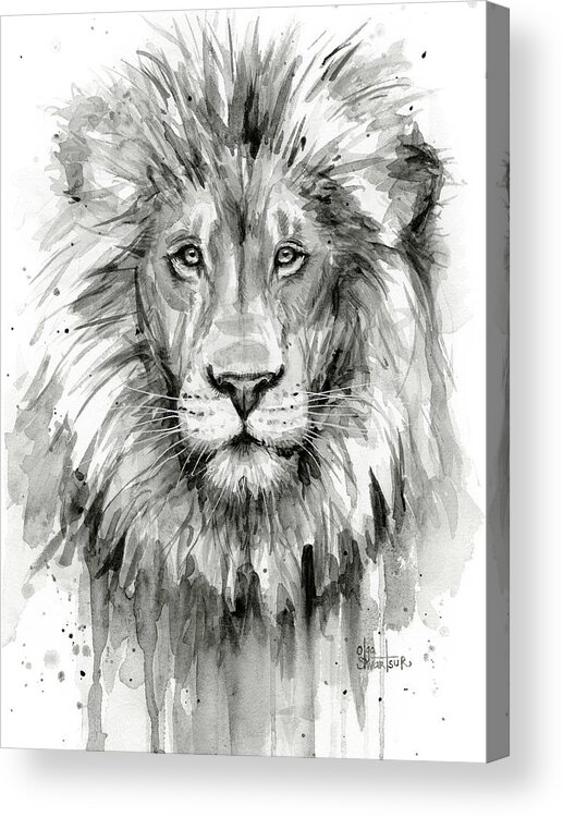 Lion Acrylic Print featuring the painting Lion Watercolor by Olga Shvartsur