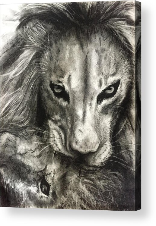 Lion Acrylic Print featuring the drawing Lion's World by Michelle Pier