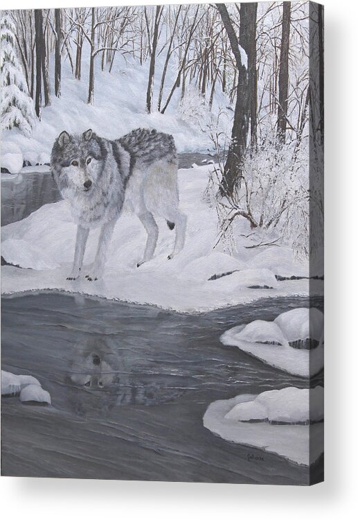 Wolf Acrylic Print featuring the painting Lone Wolf by Johanna Lerwick