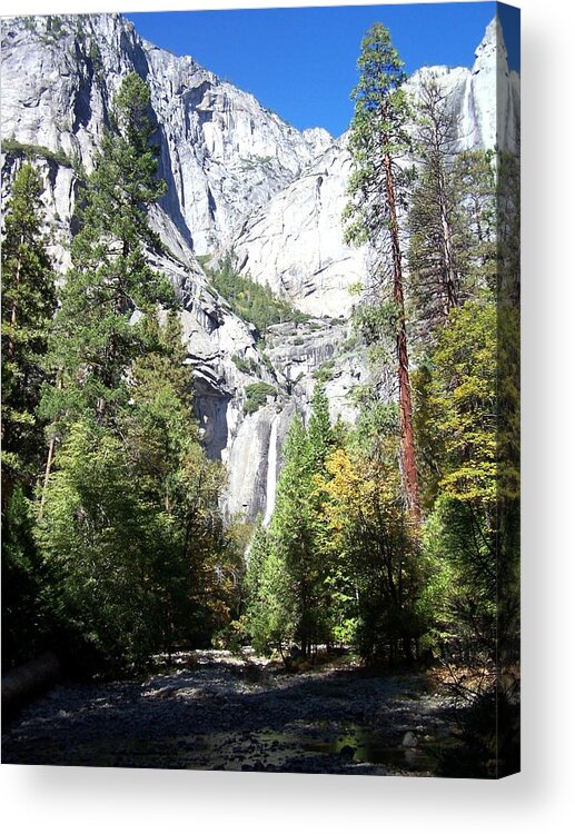 Yosemite Acrylic Print featuring the photograph Lower Yosemite Falls by Vijay Sharon Govender