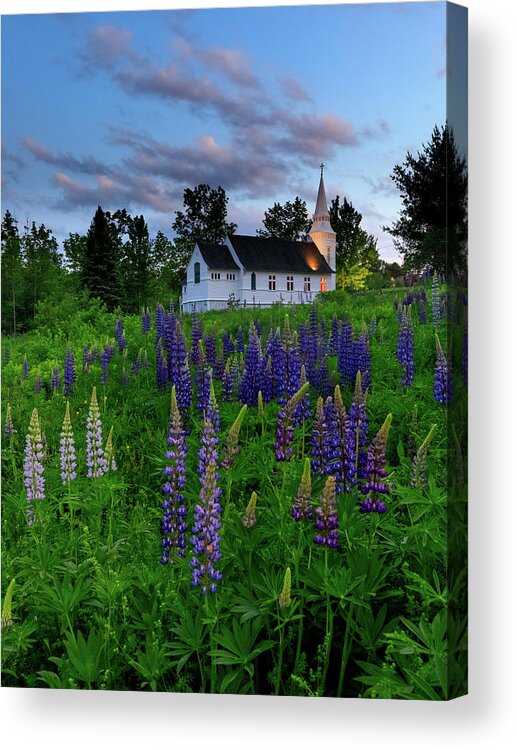 Lupines Acrylic Print featuring the photograph Lupines by the Church by Rob Davies