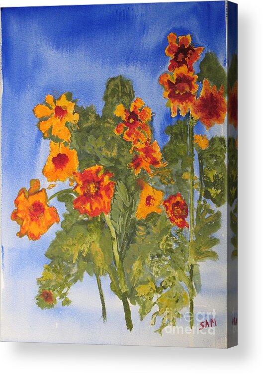 Marigold Acrylic Print featuring the painting Marigolds by Sandy McIntire
