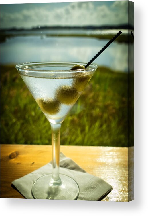 Martini Acrylic Print featuring the photograph Martini on Fine Summer Day by David Kay