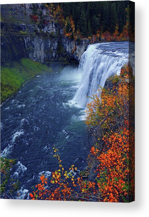 Mesa Falls Acrylic Print featuring the photograph Mesa Falls in the Fall by Raymond Salani III