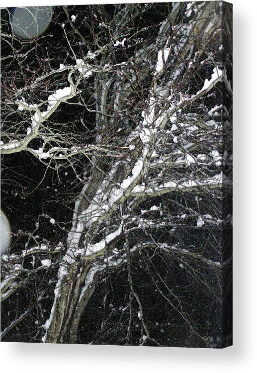 Winter Acrylic Print featuring the photograph Midnight Snow 13 by Christine Sullivan Cuozzo