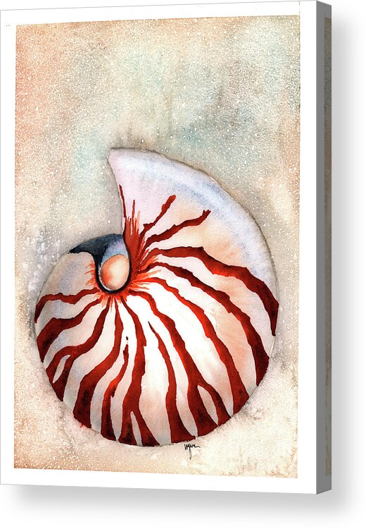 Seahell Acrylic Print featuring the painting Moon Nautilus by Hilda Wagner