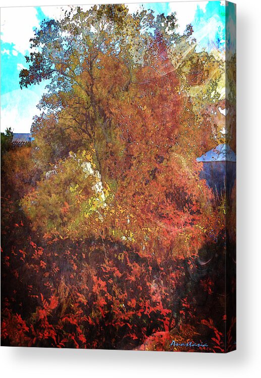 Autumn Acrylic Print featuring the photograph Morning Medely by Anastasia Savage Ealy