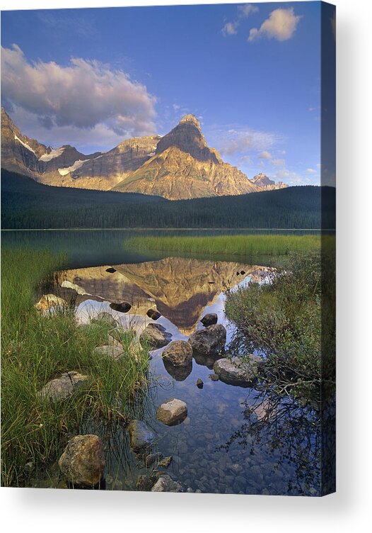 00175865 Acrylic Print featuring the photograph Mount Chephren And Waterfowl Lake Banff by Tim Fitzharris