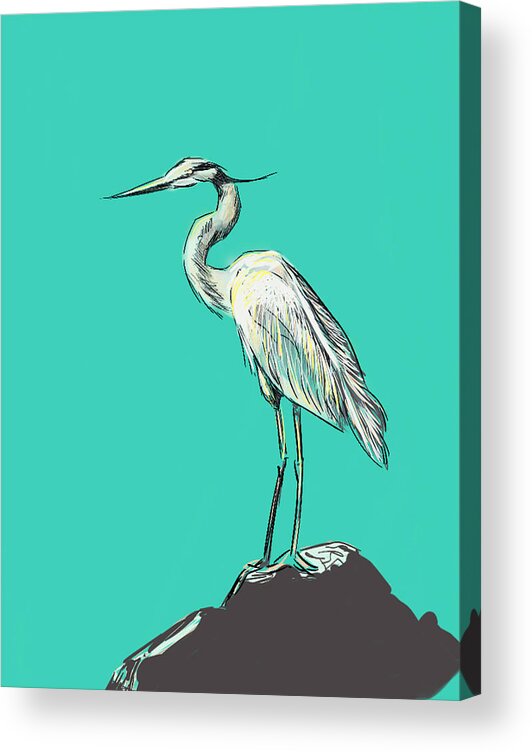 Heron Acrylic Print featuring the digital art Mr. Grey on Aquamarine by Thomas Hamm