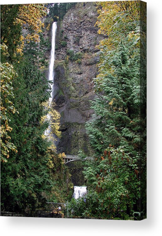 Multnomah Falls Acrylic Print featuring the photograph Multnomah Falls - 5 by DArcy Evans