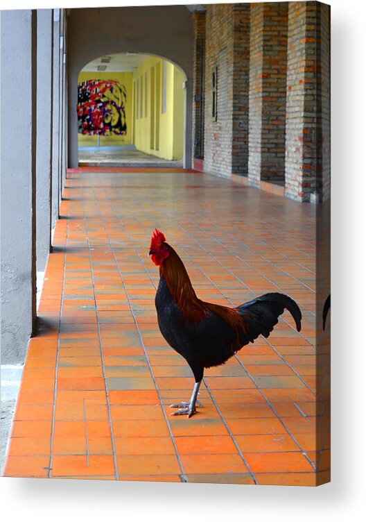 Rooster Acrylic Print featuring the photograph My Colonnade by Richard Ortolano