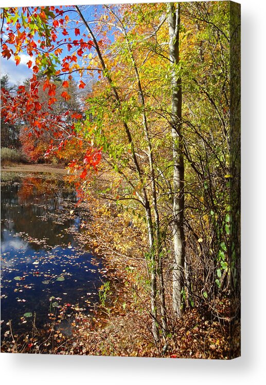 Autumn Landscape Acrylic Print featuring the photograph Nature's Expression-15 by Leonard Holland