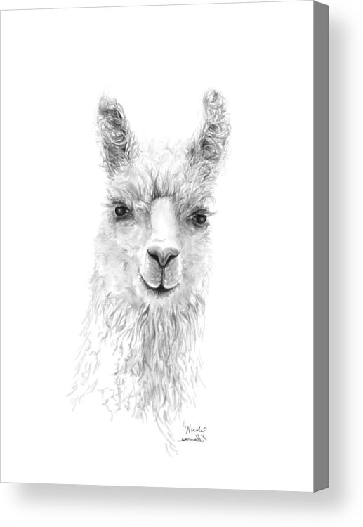 Llama Art Acrylic Print featuring the drawing Nicole by Kristin Llamas