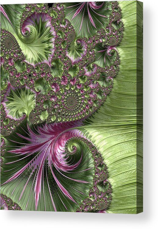 Dlcfuncreations Acrylic Print featuring the photograph Oh Clematis by Diane Lindon Coy