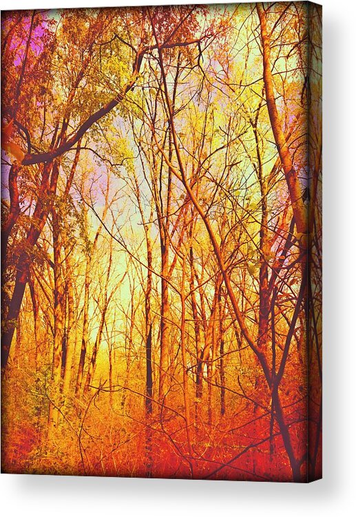 Fall Acrylic Print featuring the photograph Ojibway Autumn by Christine Paris