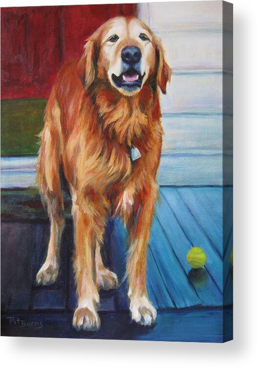 Dog Acrylic Print featuring the painting Old Ball Player by Pat Burns