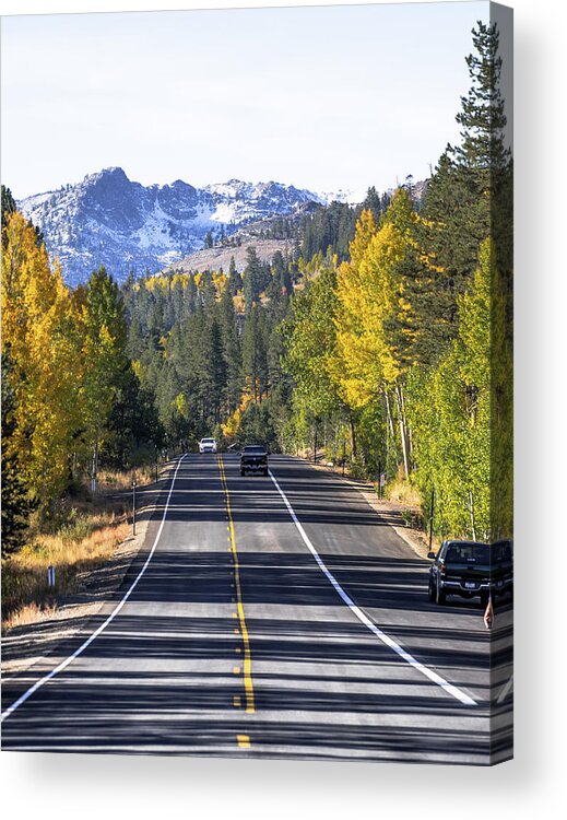 Trees Acrylic Print featuring the photograph On the Road Again by Janet Kopper