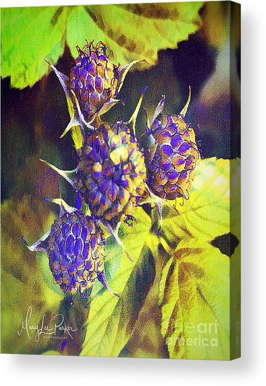  Digital Art Acrylic Print featuring the digital art One. Berry -Two Berry by MaryLee Parker